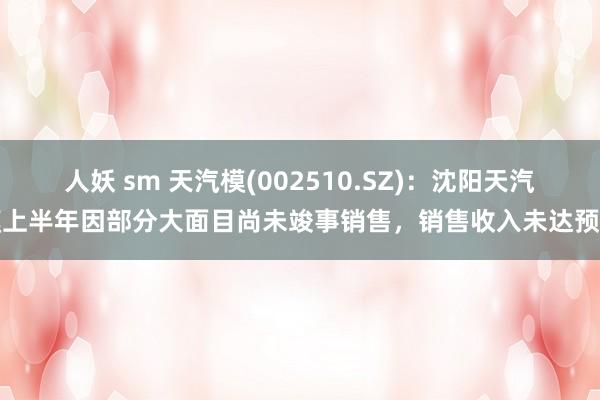 人妖 sm 天汽模(002510.SZ)：沈阳天汽模上半年因部分大面目尚未竣事销售，销售收入未达预期