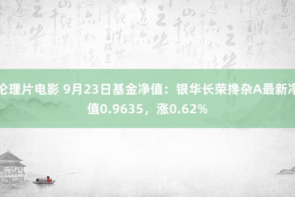 伦理片电影 9月23日基金净值：银华长荣搀杂A最新净值0.9635，涨0.62%