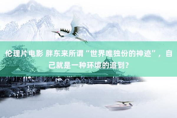 伦理片电影 胖东来所谓“世界唯独份的神迹”，自己就是一种环境的追到？