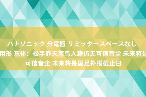パナソニック 分電盤 リミッタースペースなし 露出・半埋込両用形 东体：松手昨天塞鸟入籍仍无可信音尘 未来将是国足补报截止日
