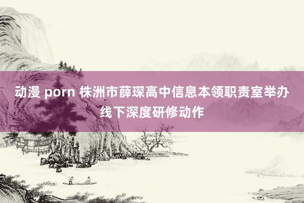动漫 porn 株洲市薛琛高中信息本领职责室举办线下深度研修动作