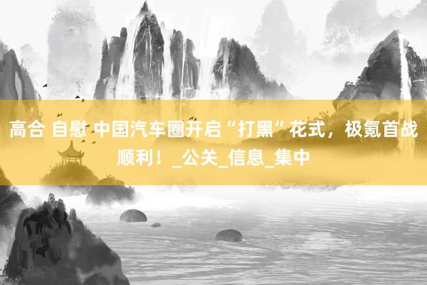 高合 自慰 中国汽车圈开启“打黑”花式，极氪首战顺利！_公关_信息_集中