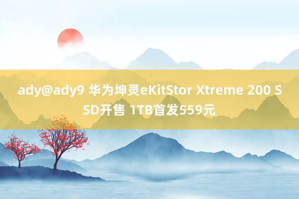 ady@ady9 华为坤灵eKitStor Xtreme 200 SSD开售 1TB首发559元